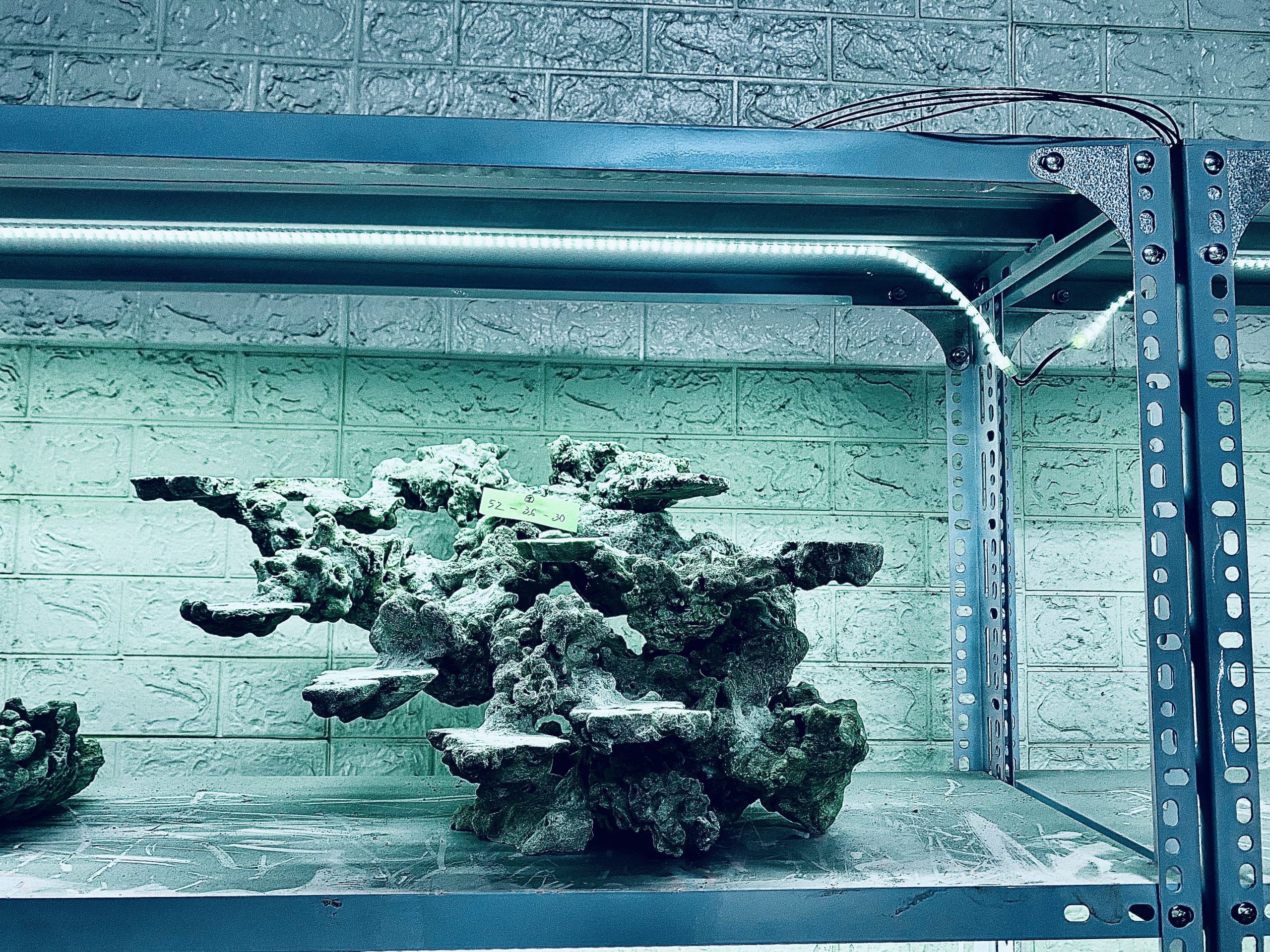 layout-ca-bien-royalaqua (418)