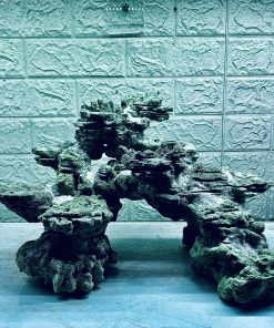 MÃ 383 - LAYOUT CÁ BIỂN BỂ 50x40x40CM - ROYALAQUA