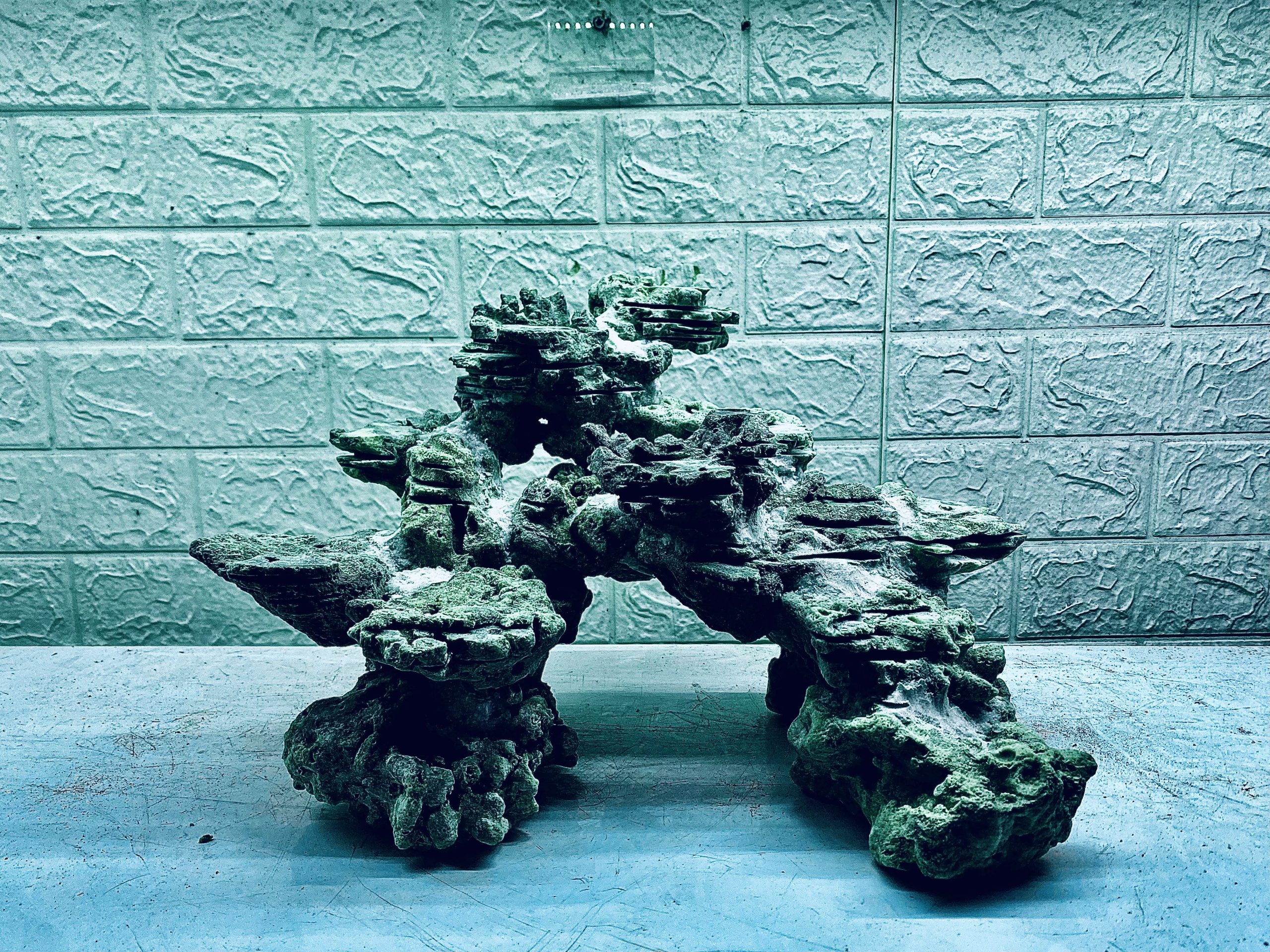 layout-ca-bien-royalaqua (429)