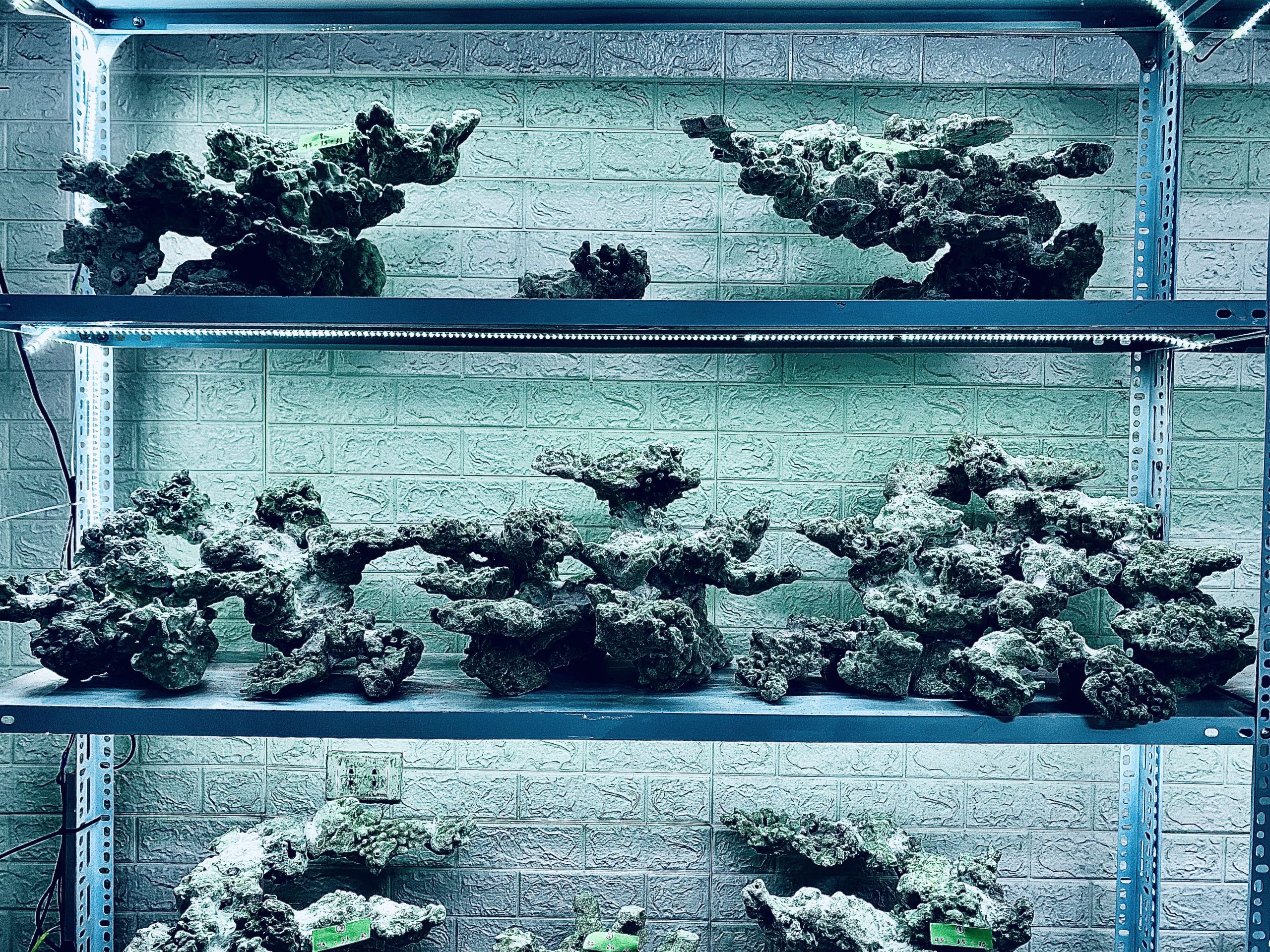 layout-ca-bien-royalaqua (437)