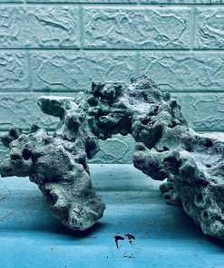 MÃ 387 - LAYOUT CÁ BIỂN BỂ 30CM - ROYALAQUA