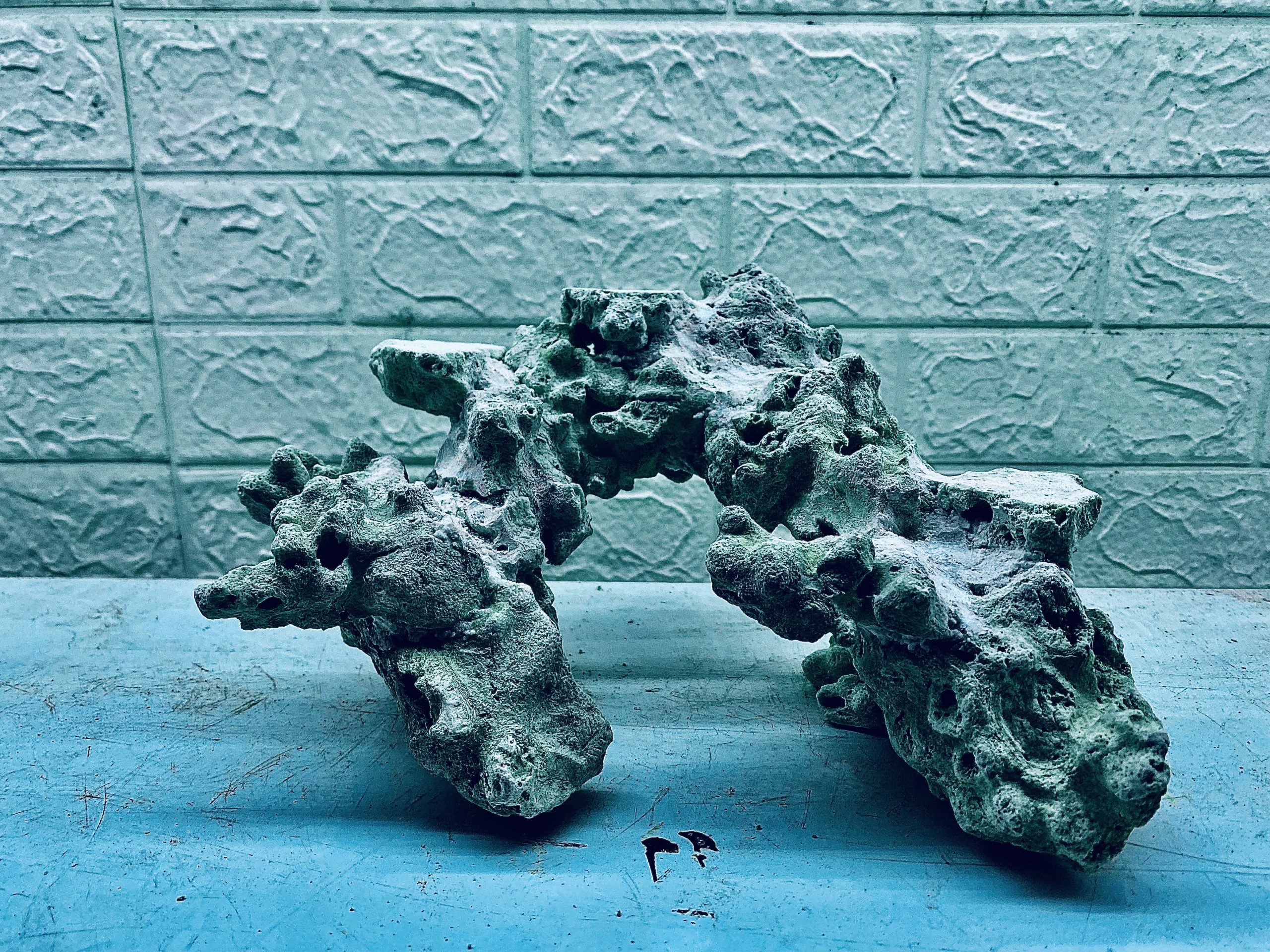 layout-ca-bien-royalaqua (445)