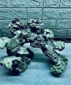 MÃ 389 - LAYOUT CÁ BIỂN BỂ 3OCM - ROYALAQUA