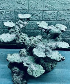 MÃ 390 - LAYOUT CÁ BIỂN BỂ 40CM - ROYALAQUA