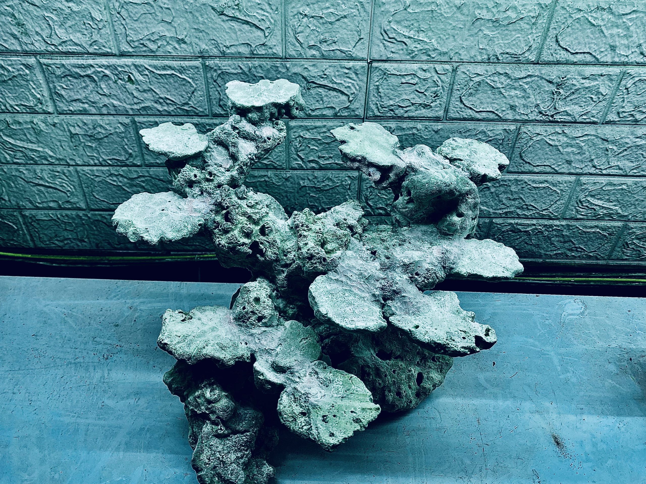 layout-ca-bien-royalaqua (454)