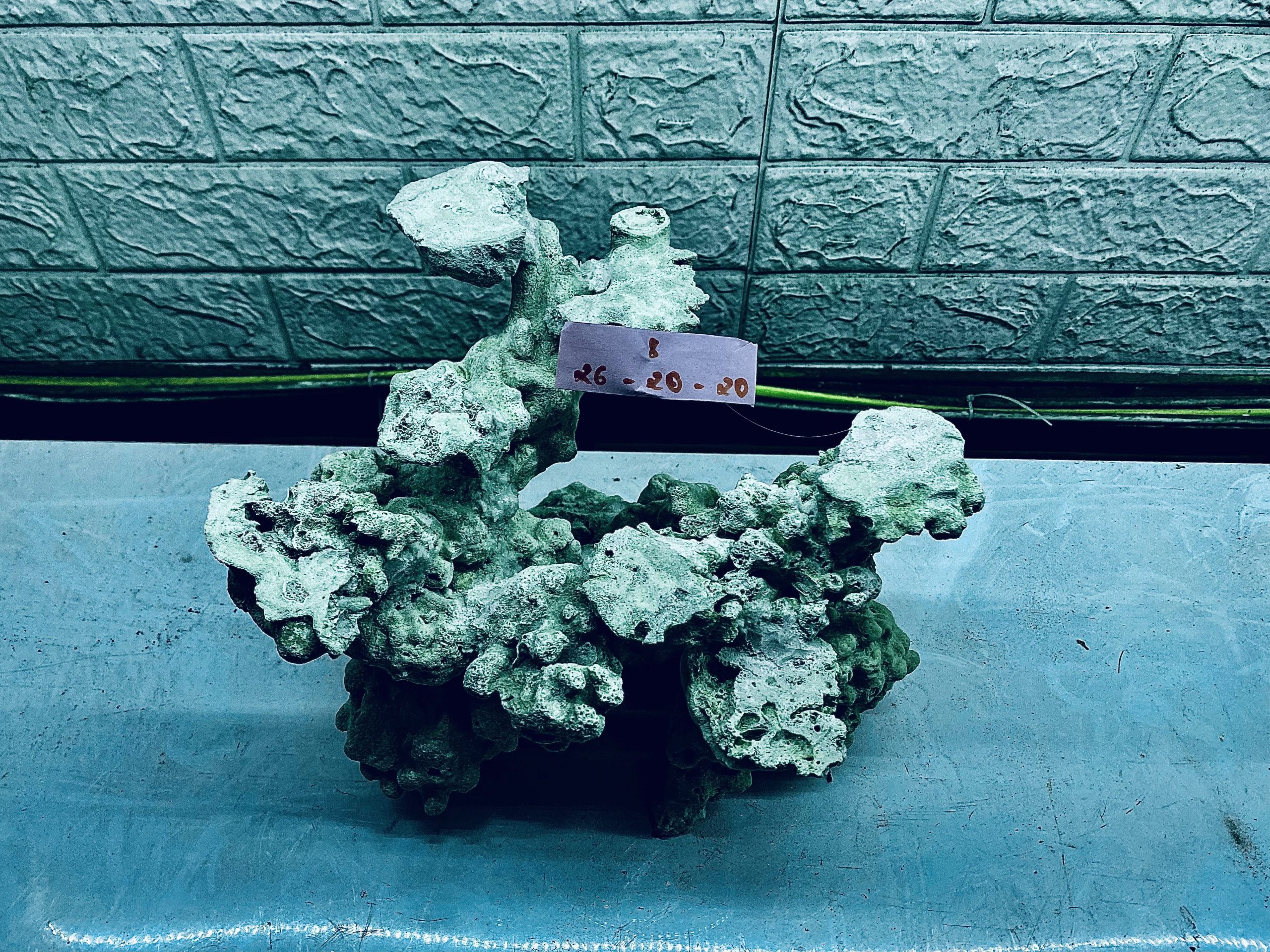 layout-ca-bien-royalaqua (462)