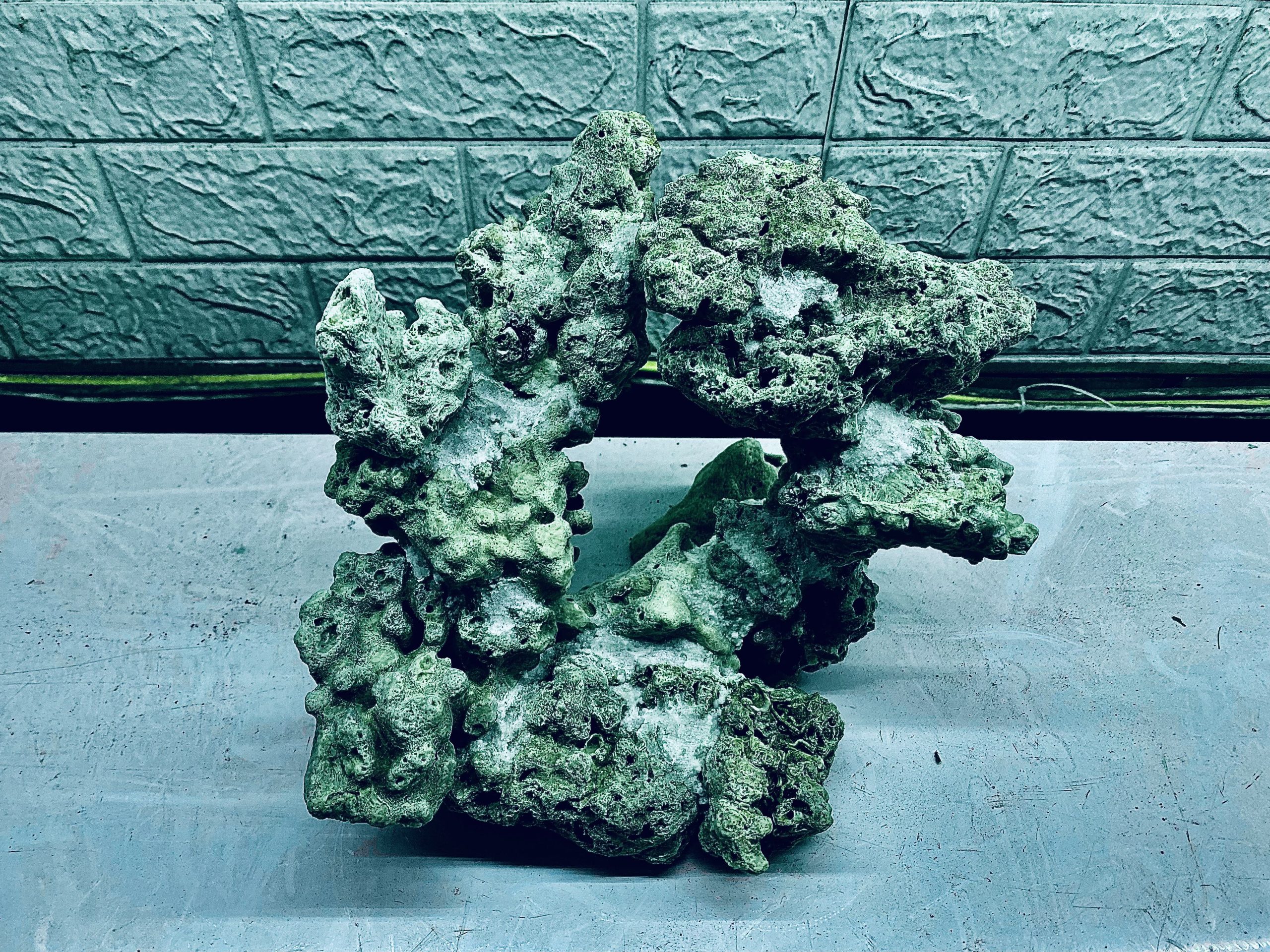 layout-ca-bien-royalaqua (466)