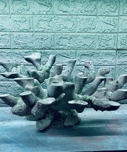 MÃ 394 - LAYOUT CÁ BIỂN BỂ 60x40x40CM - ROYALAQUA