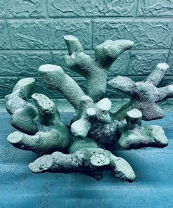 MÃ 395 - LAYOUT CÁ BIỂN BỂ 40CM - ROYALAQUA