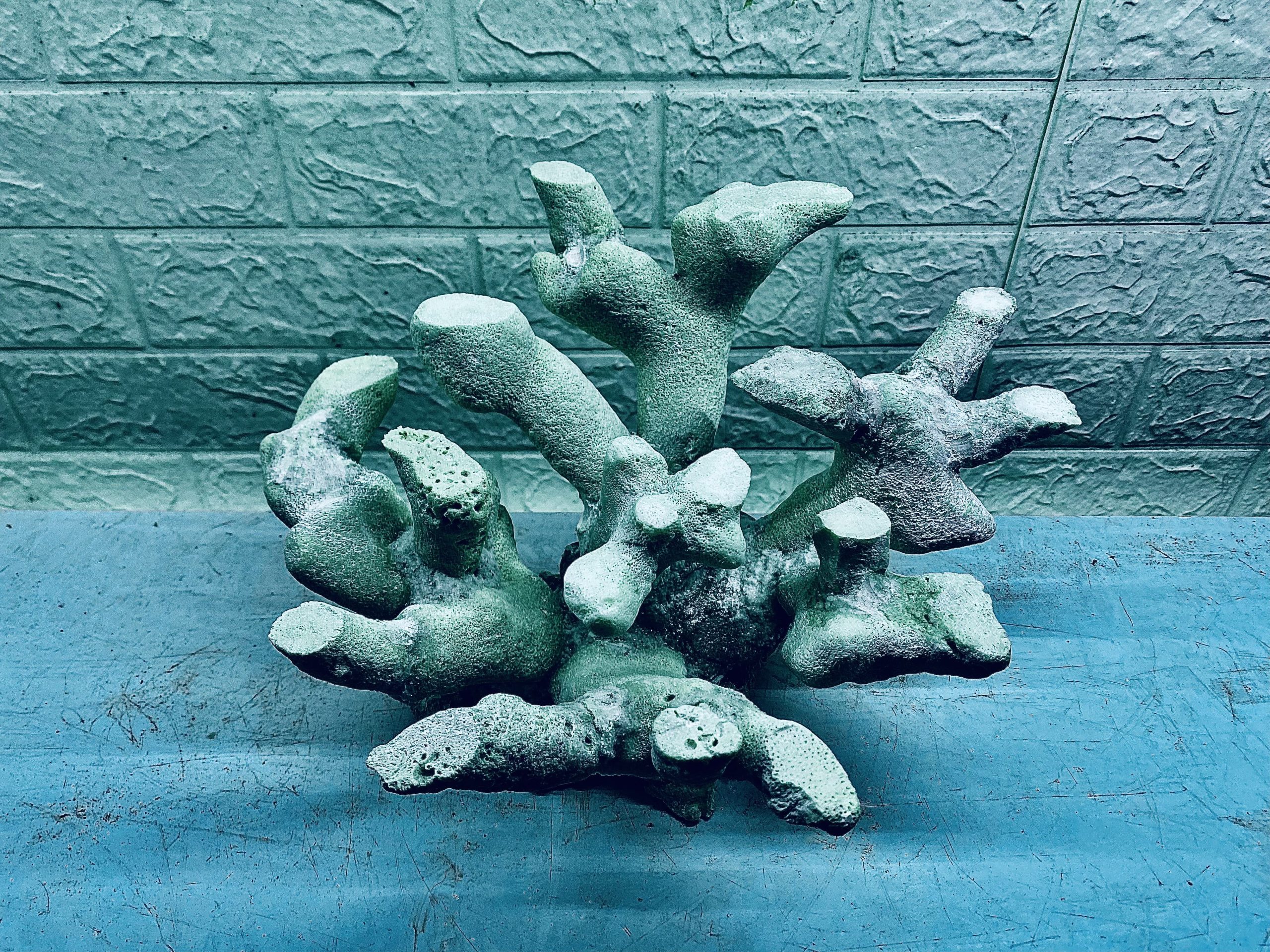 layout-ca-bien-royalaqua (474)