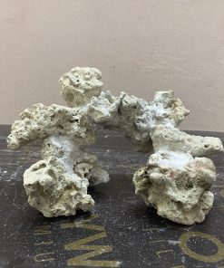 MÃ 244 - LAYOUT CÁ CẢNH BIỂN BỂ 40CM - ROYALAQUA