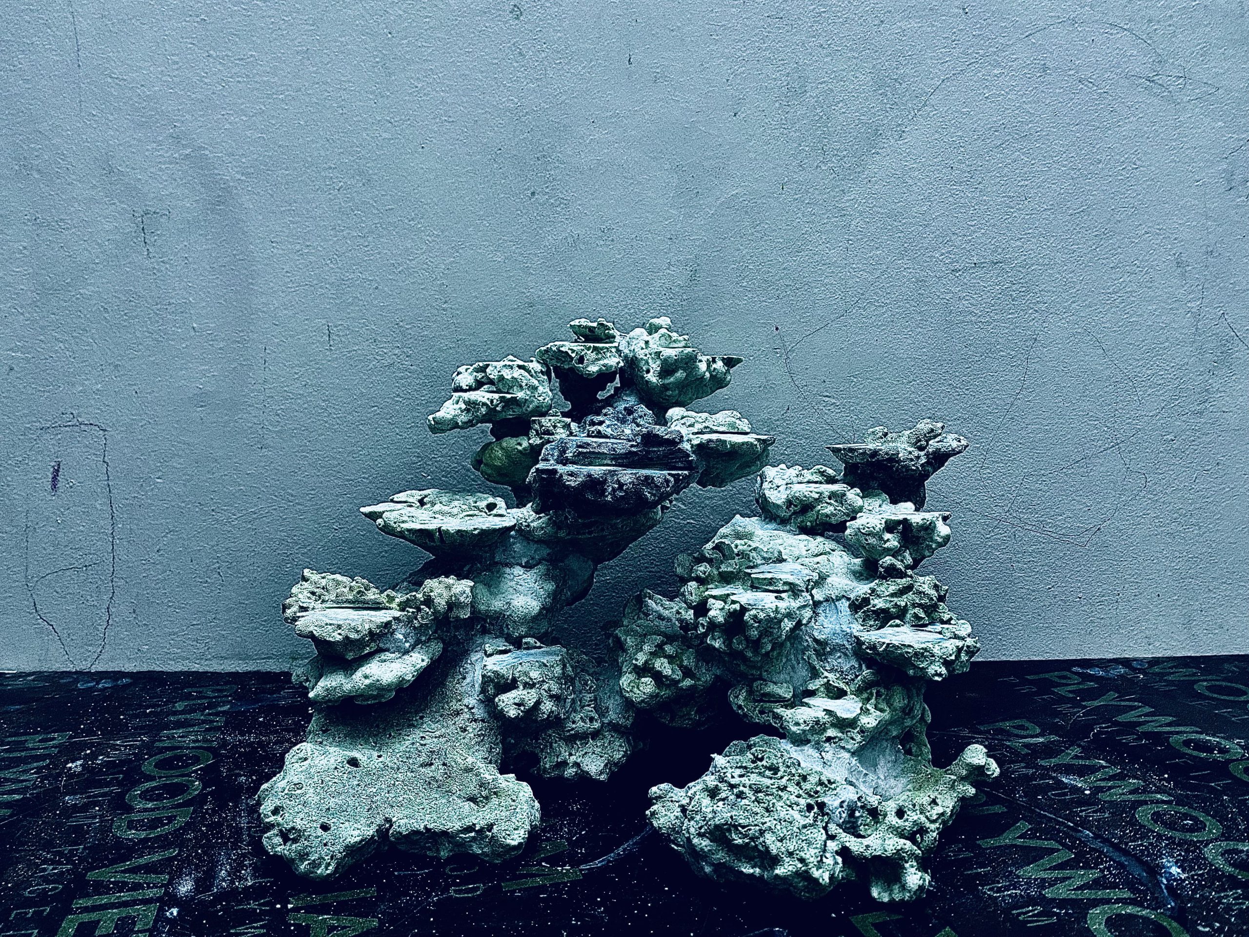 layout-ca-bien-royalaqua (52)