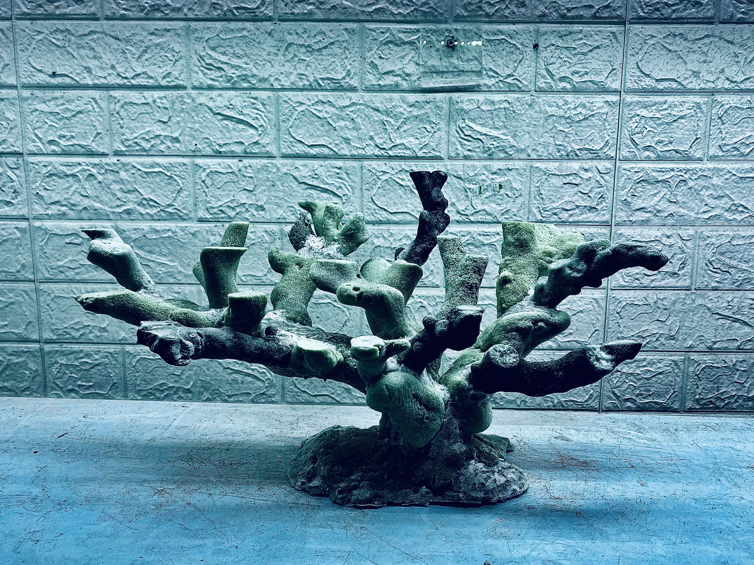 layout-ca-bien-royalaqua (520)