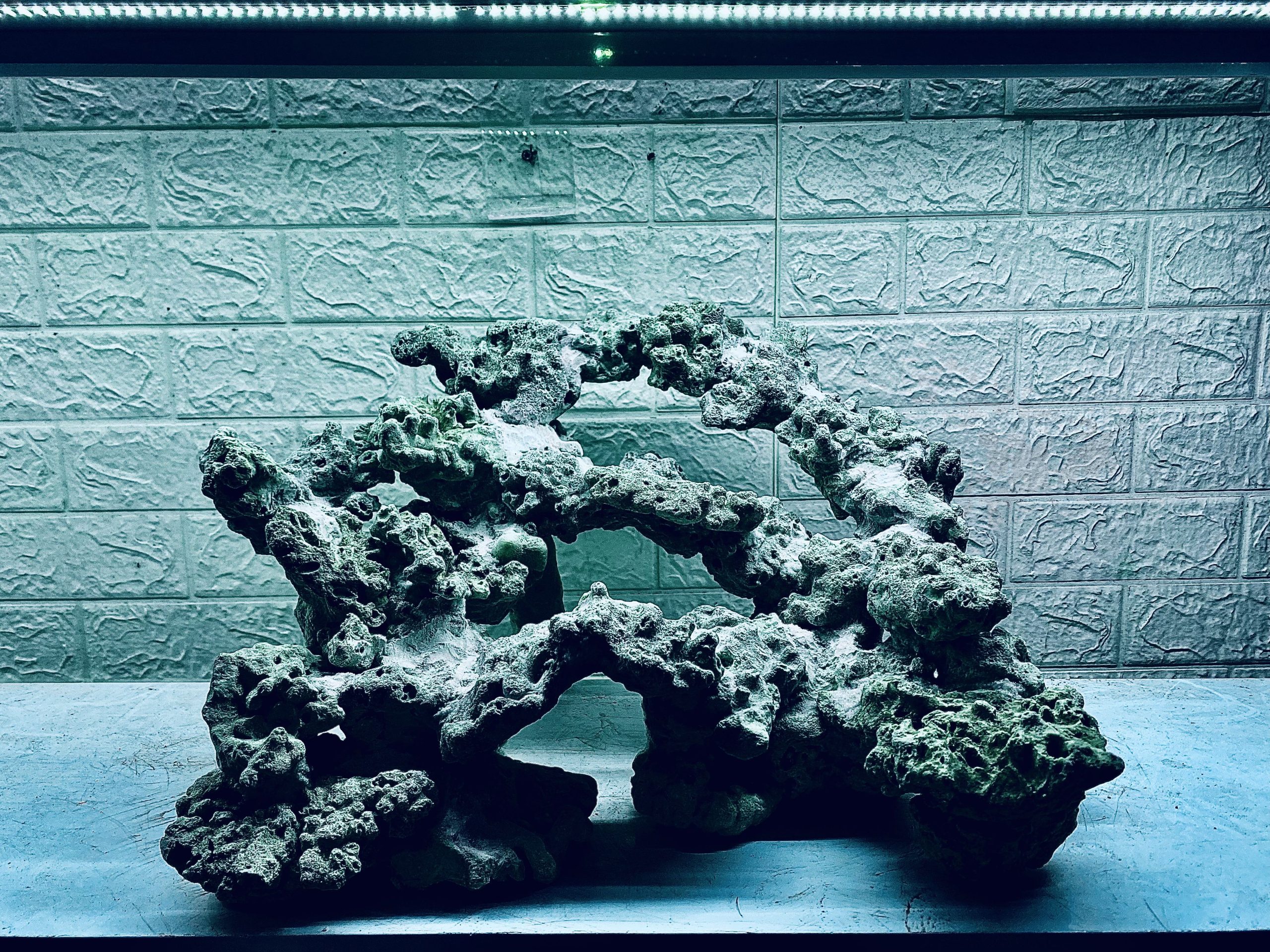 layout-ca-bien-royalaqua (529)