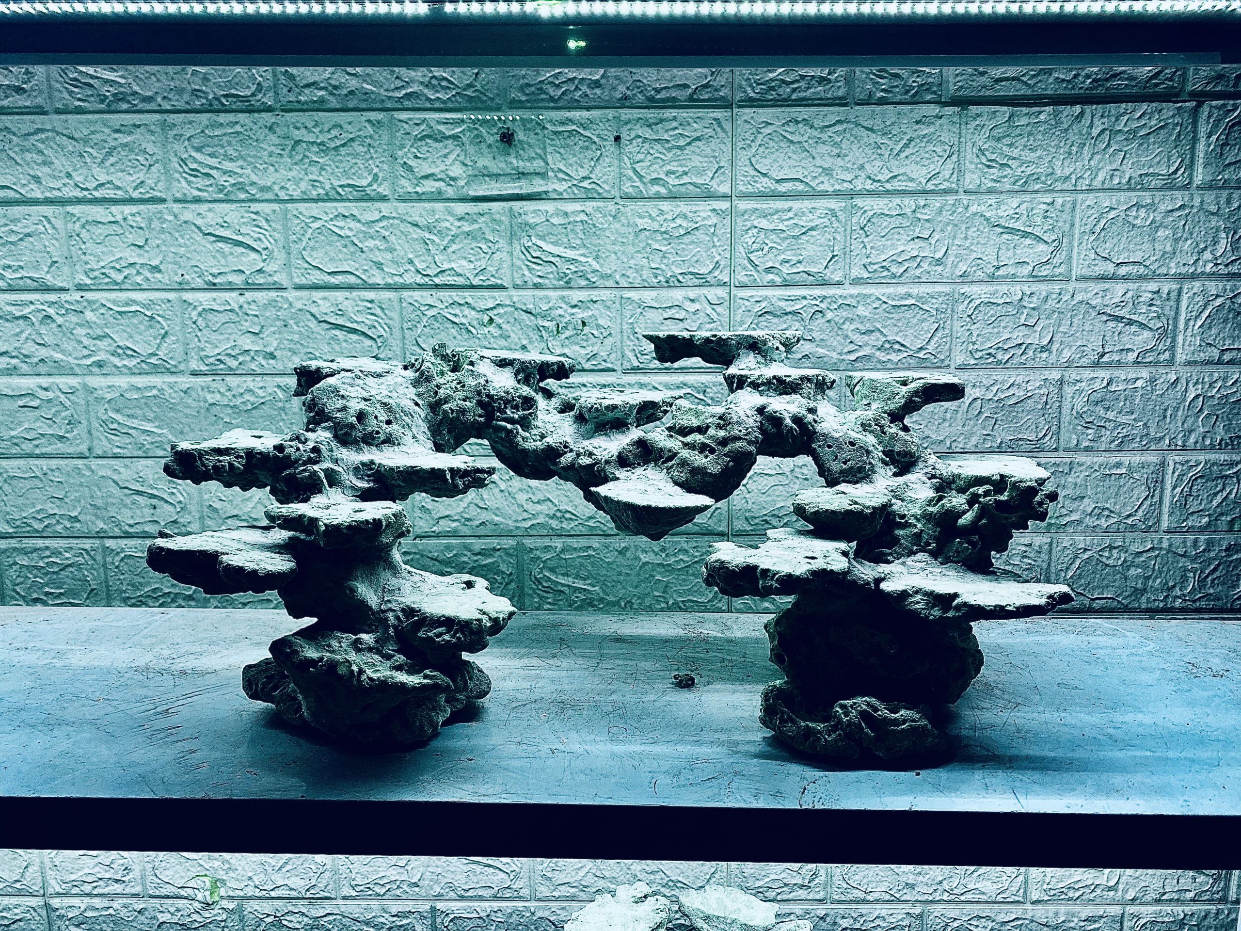 layout-ca-bien-royalaqua (534)