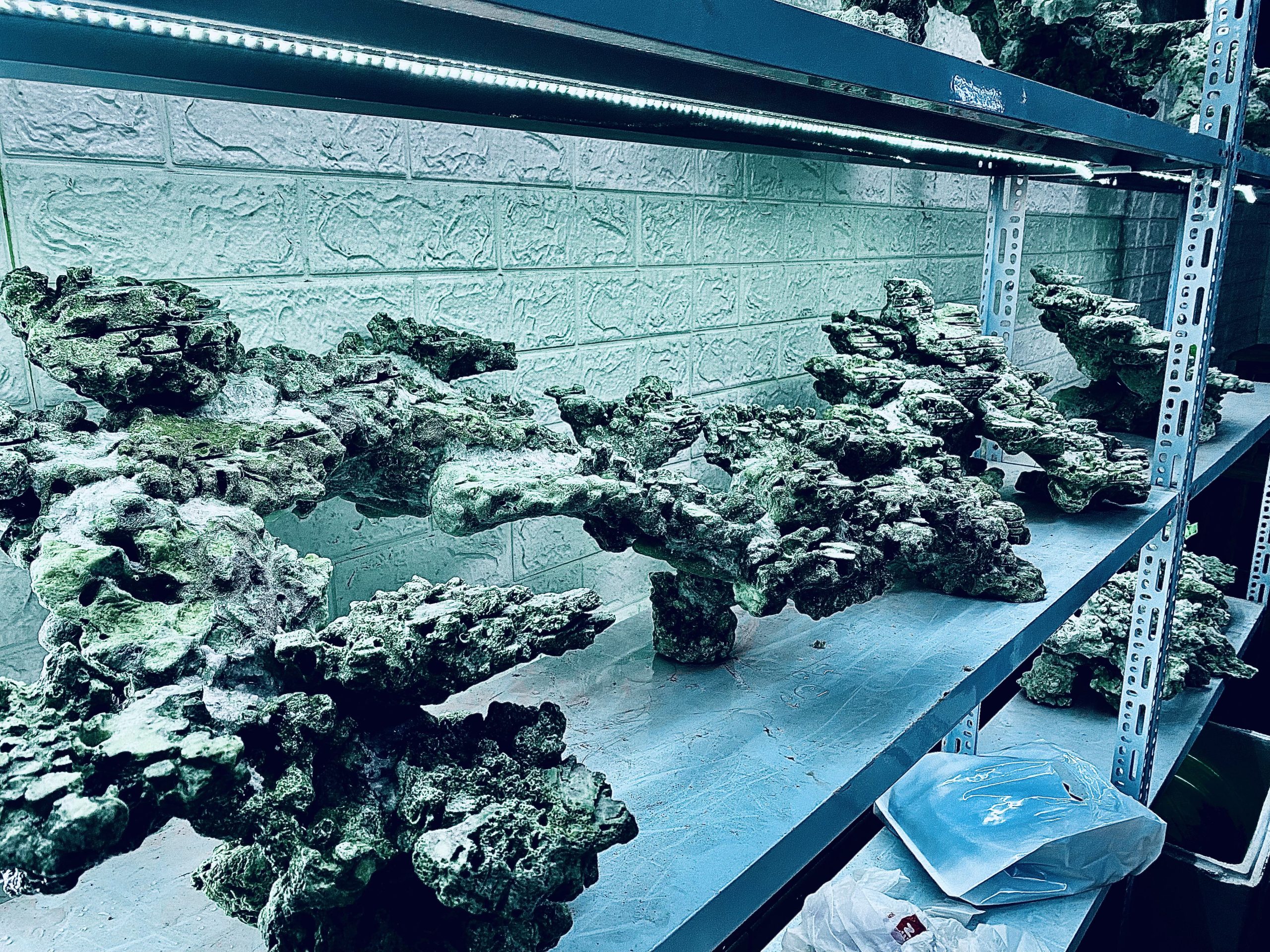 layout-ca-bien-royalaqua (541)