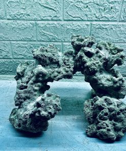 MÃ 403 - LAYOUT CÁ CẢNH BIỂN BỂ 30CM - ROYALAQUA