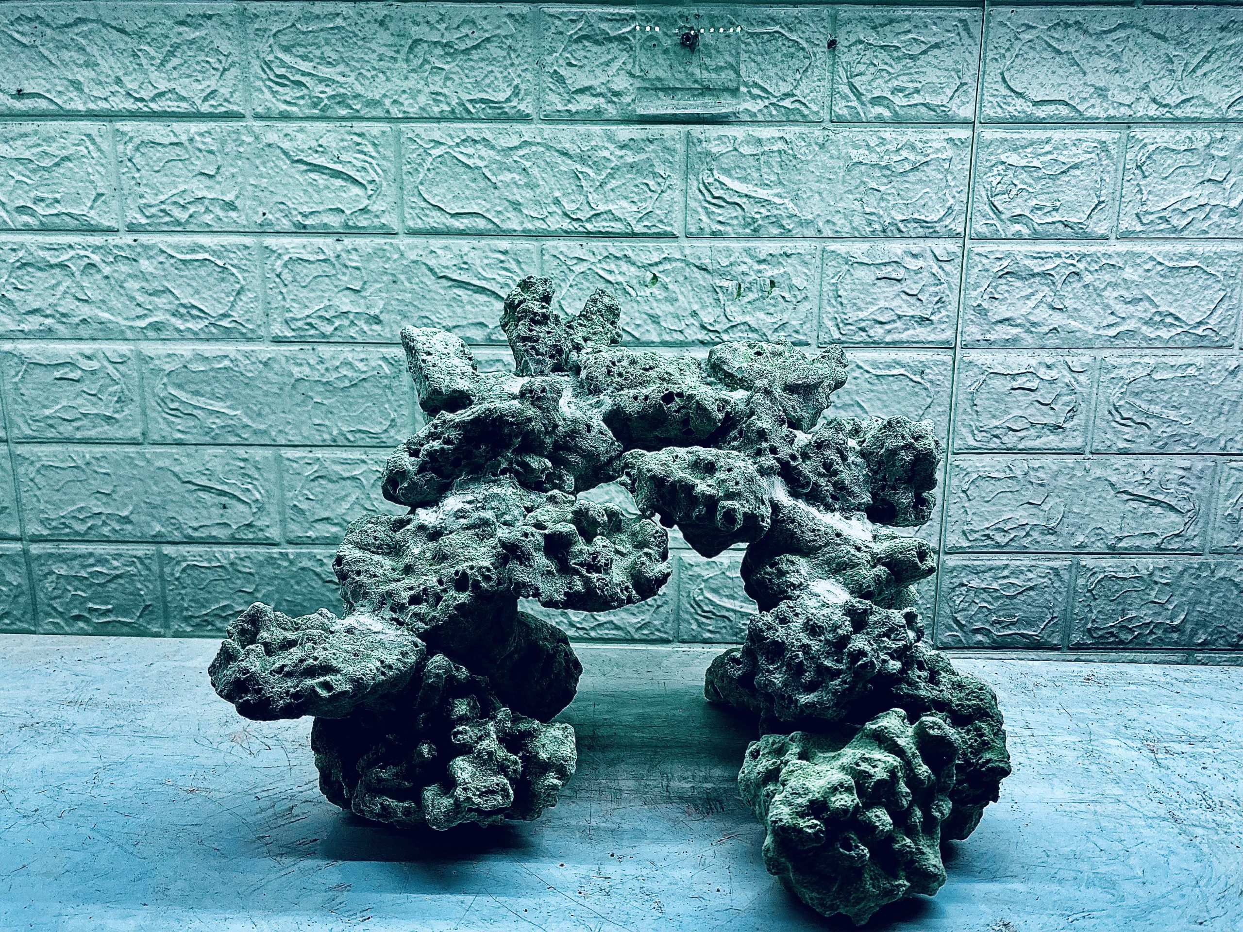 layout-ca-bien-royalaqua (549)