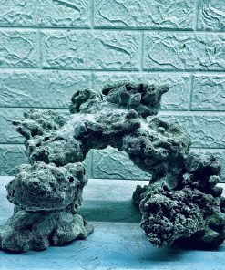 MÃ 405 - LAYOUT CÁ BIỂN BỂ 30CM - ROYALAQUA