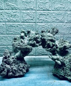 MÃ 406 - LAYOUT CÁ BIỂN BỂ 30CM - ROYALAQUA