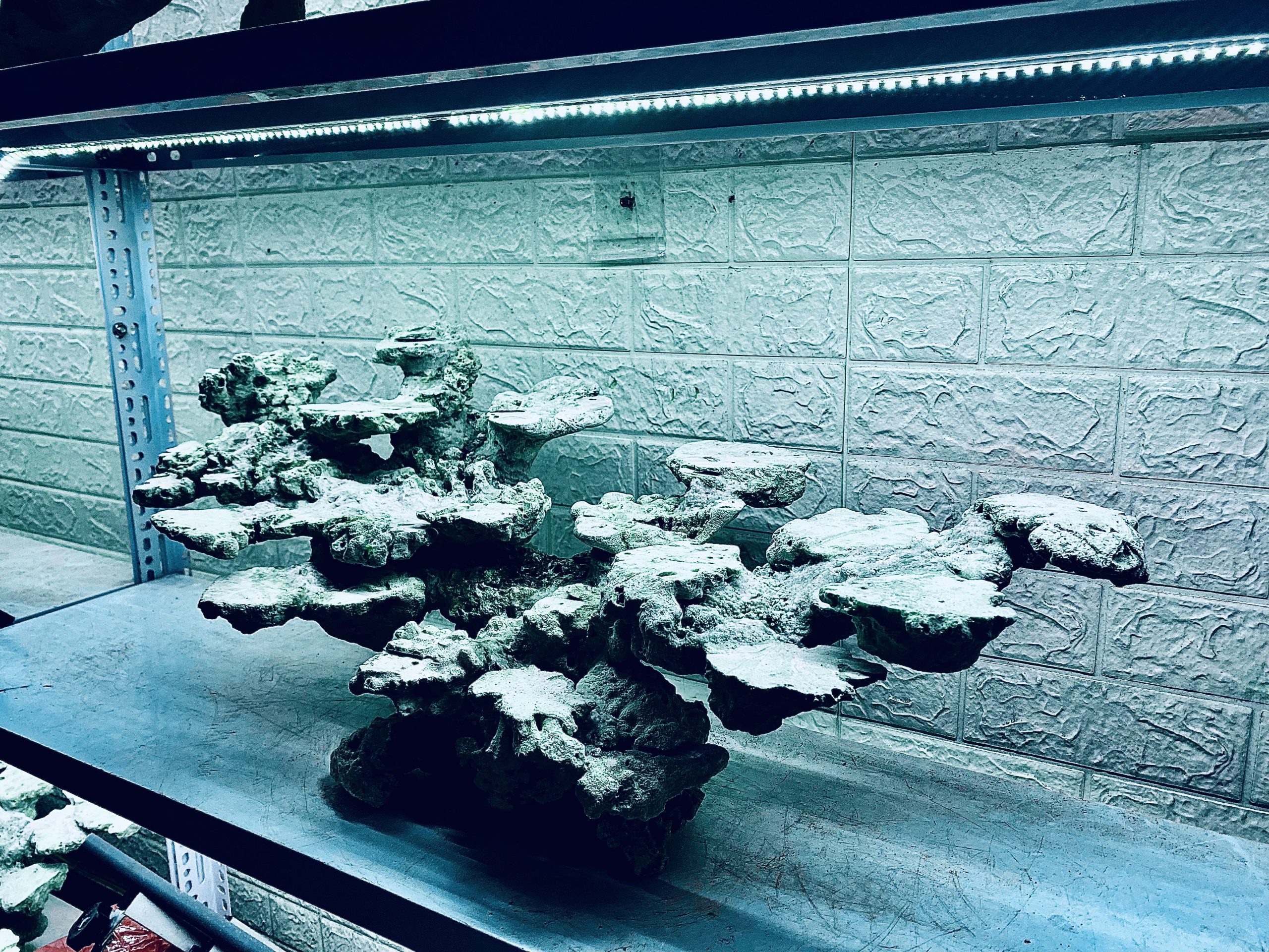 layout-ca-bien-royalaqua (567)