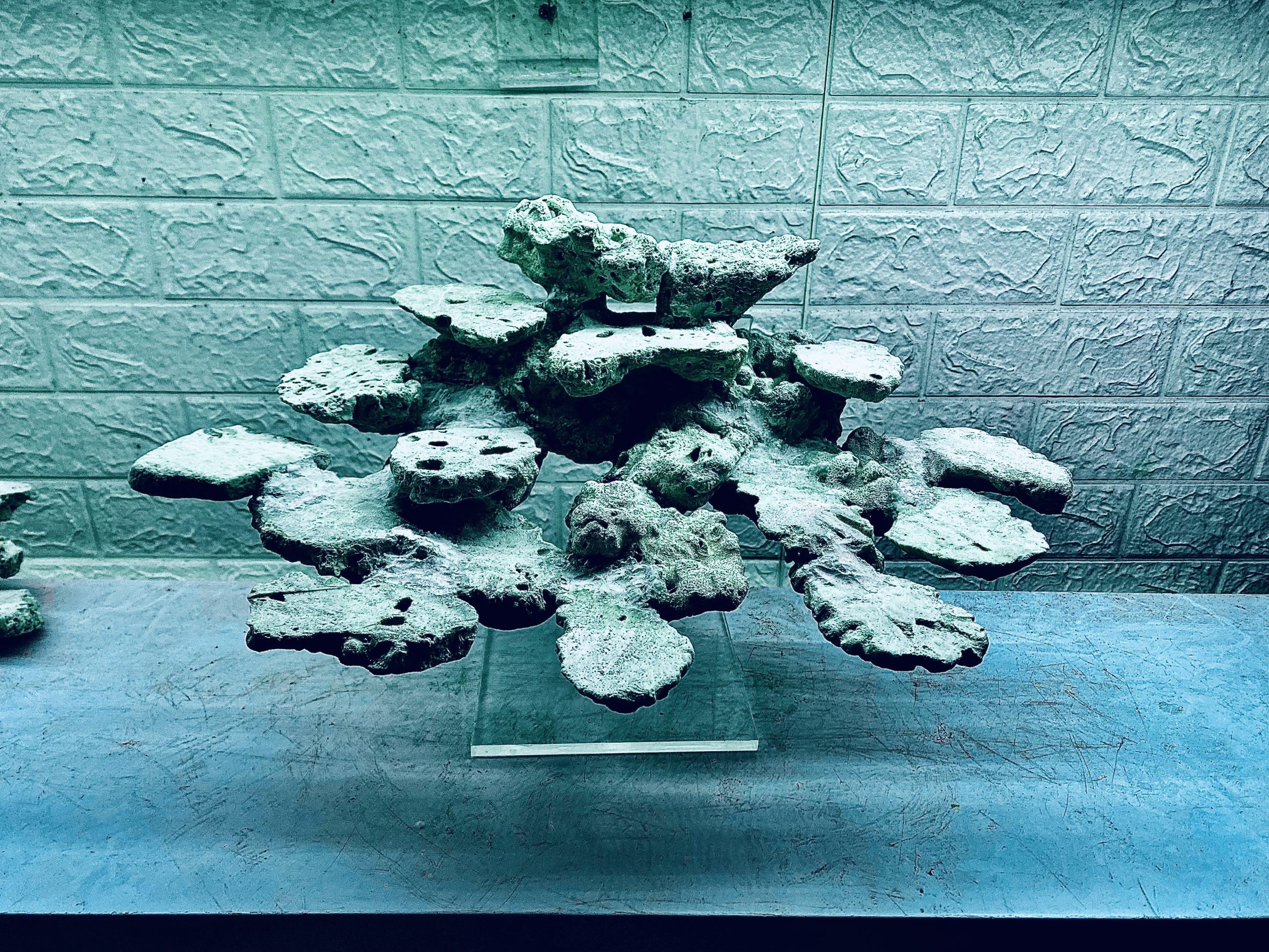 layout-ca-bien-royalaqua (571)