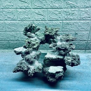MÃ 410 - LAYOUT CÁ BIỂN BỂ CUBIC 35CM - ROYALAQUA