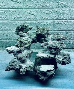 MÃ 410 - LAYOUT CÁ BIỂN BỂ CUBIC 35CM - ROYALAQUA