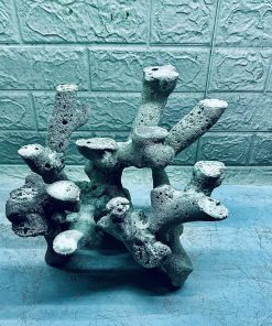 MÃ 411 - LAYOUT CÁ BIỂN BỂ 30CM - ROYALAQUA