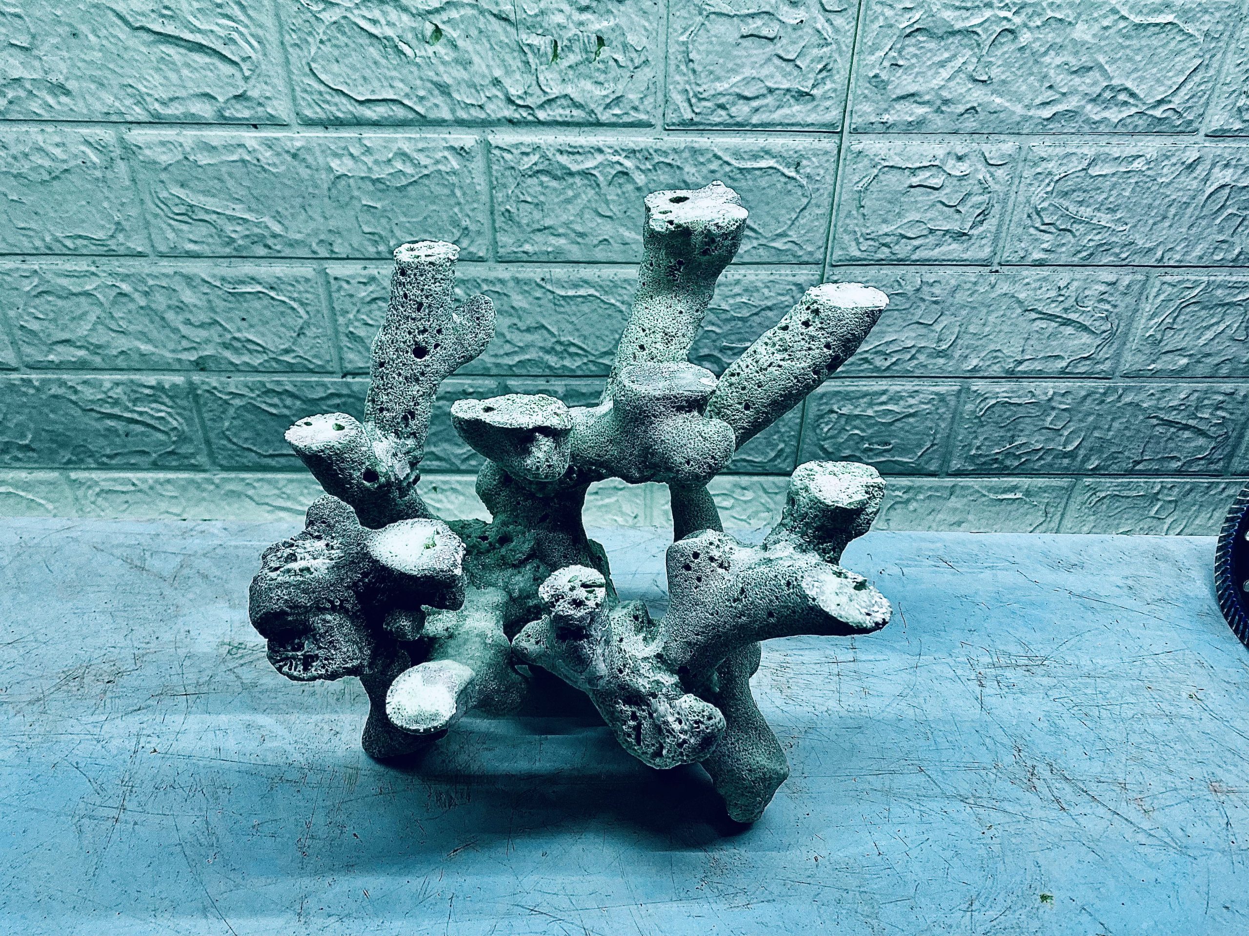 layout-ca-bien-royalaqua (587)