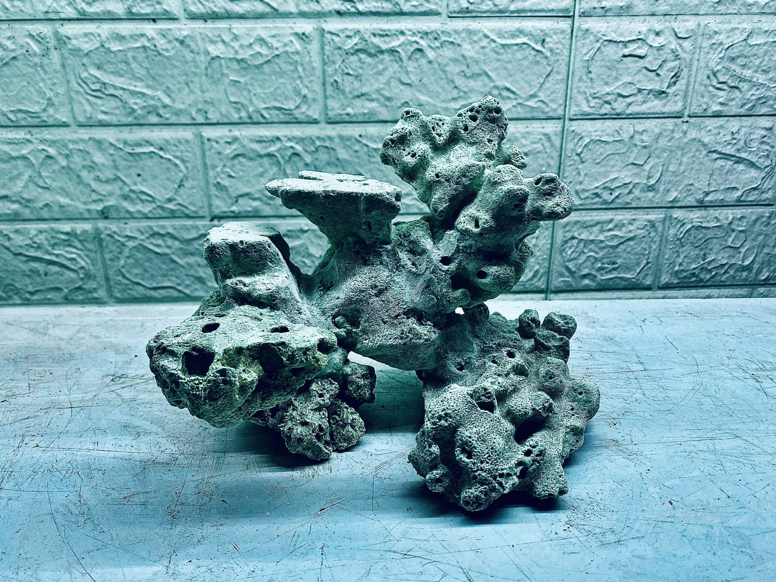 layout-ca-bien-royalaqua (588)