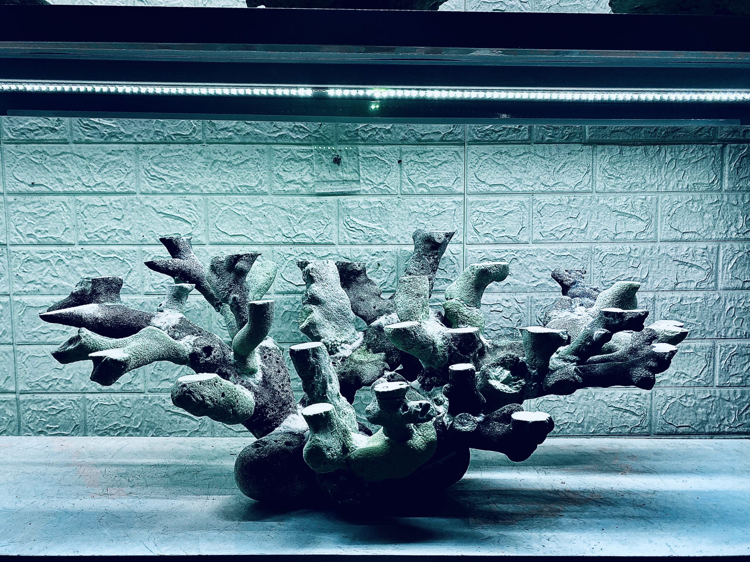 layout-ca-bien-royalaqua (600)