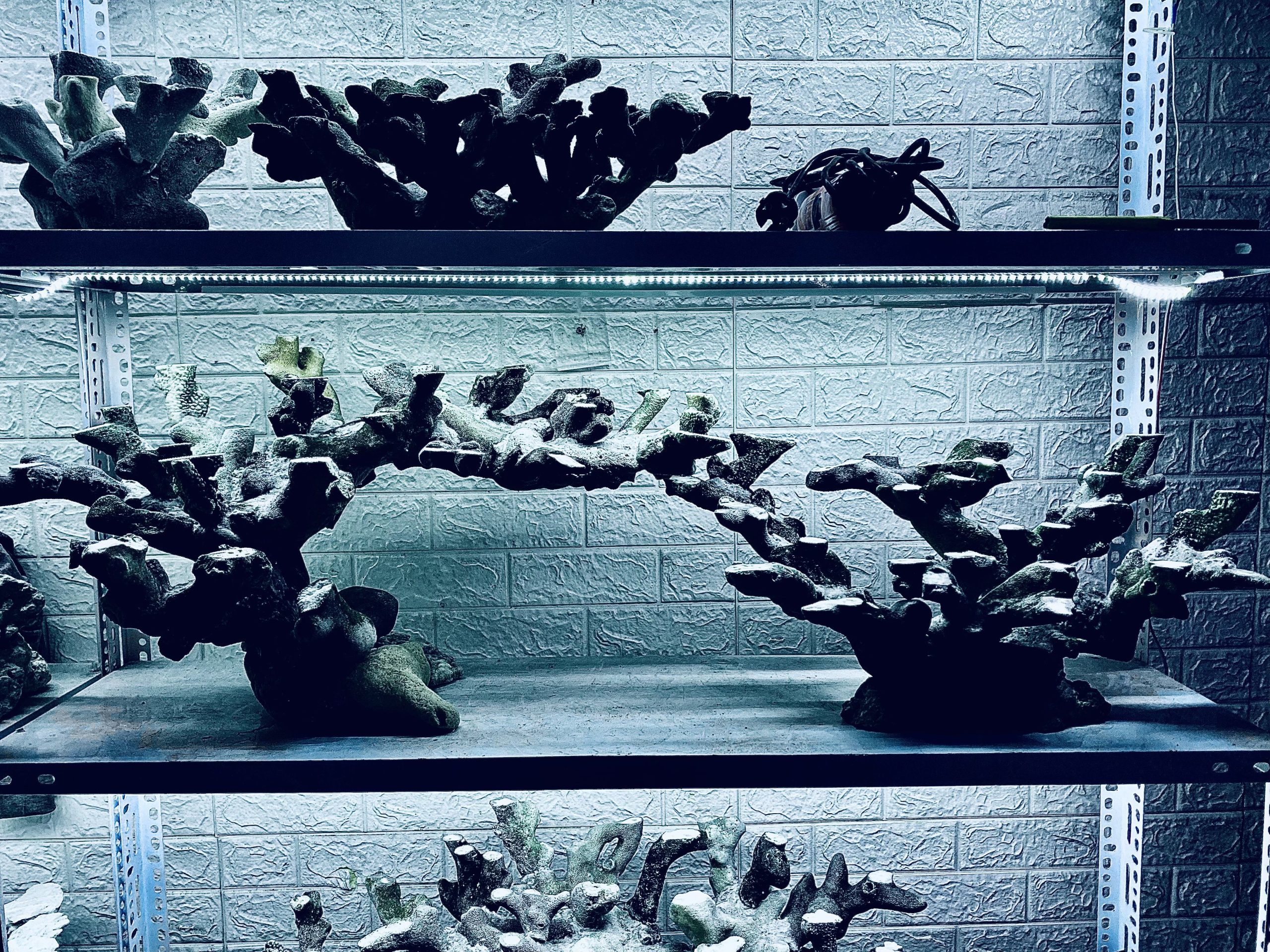 layout-ca-bien-royalaqua (617)