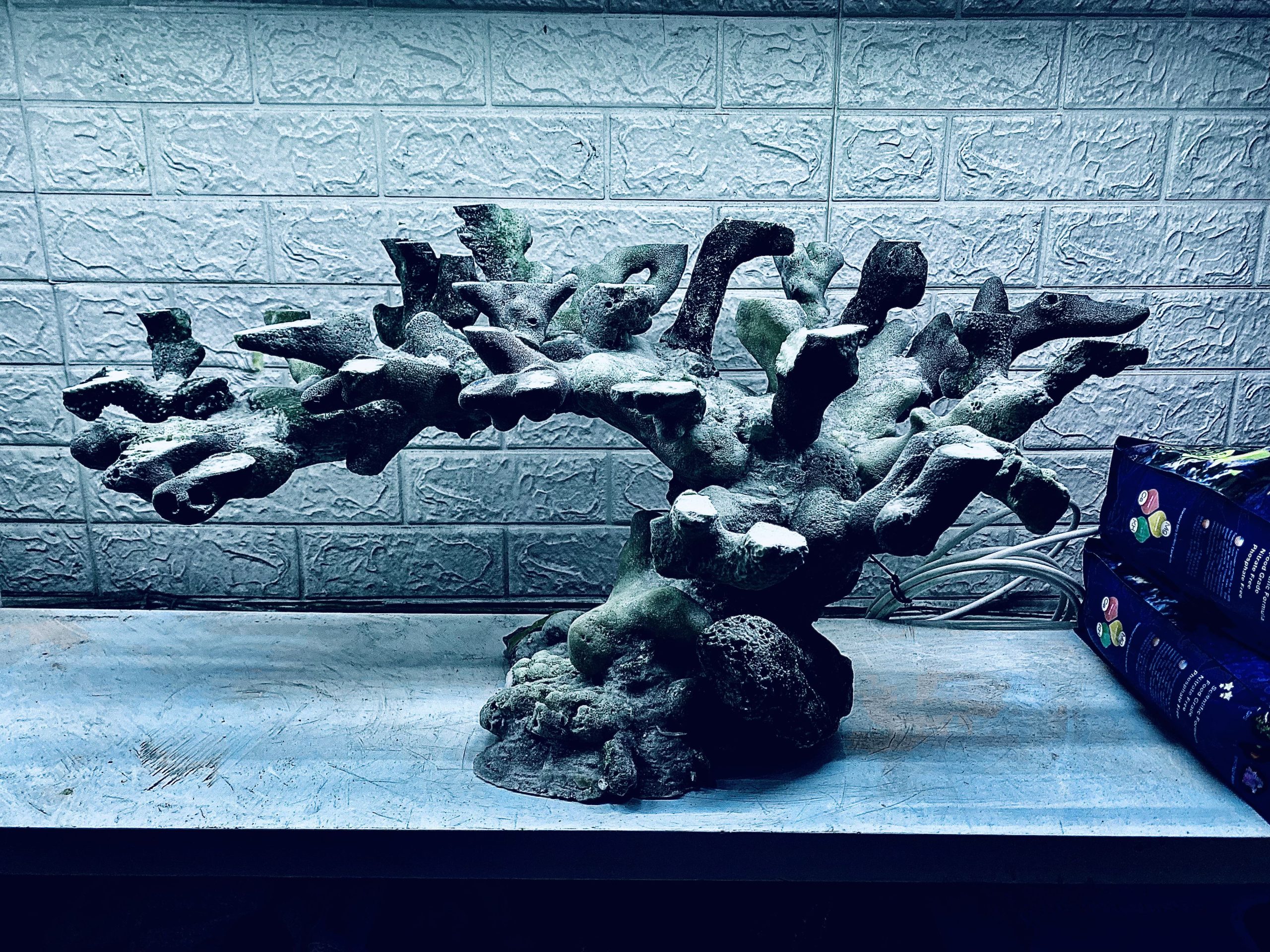 layout-ca-bien-royalaqua (621)