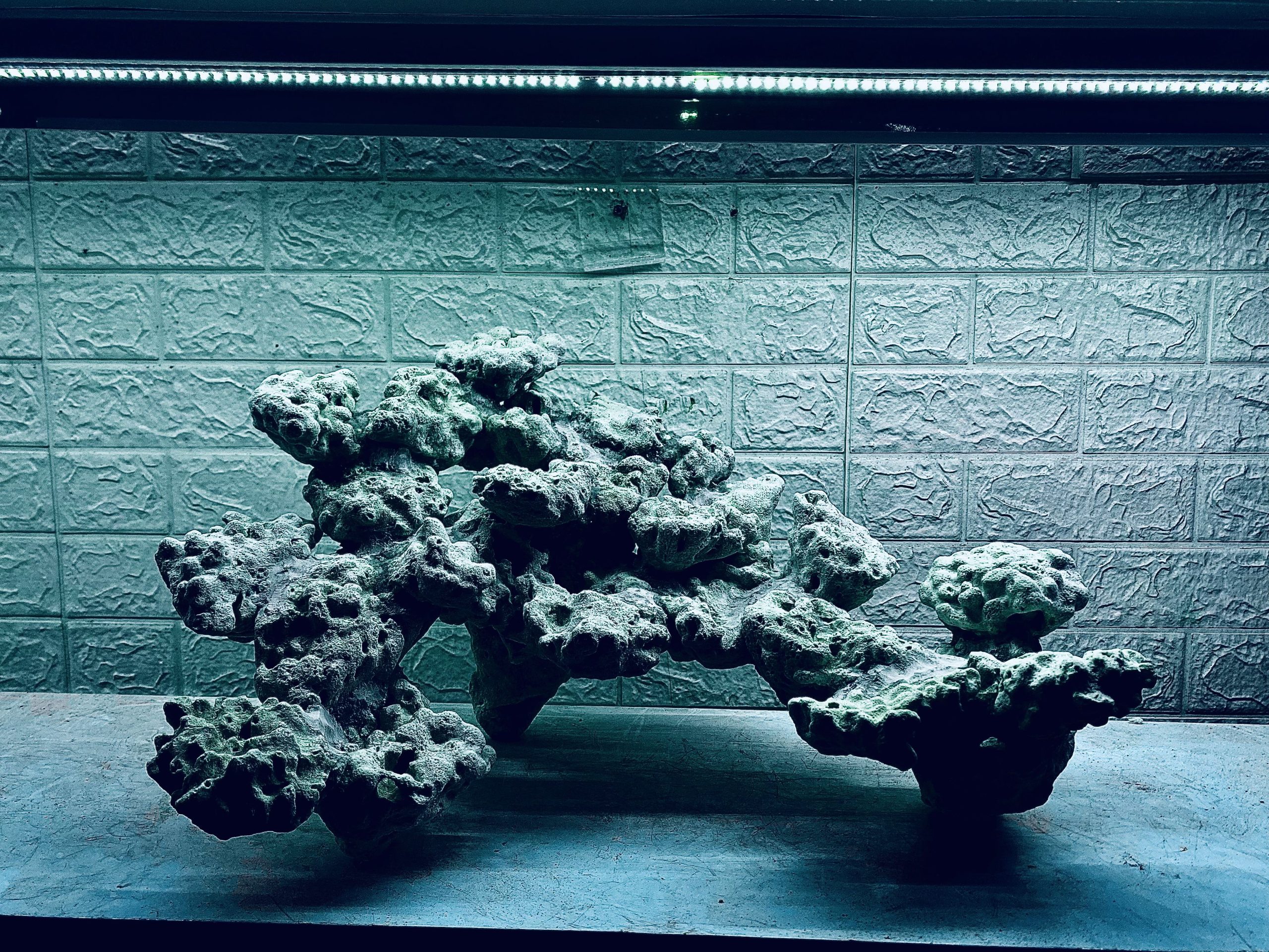 layout-ca-bien-royalaqua (625)