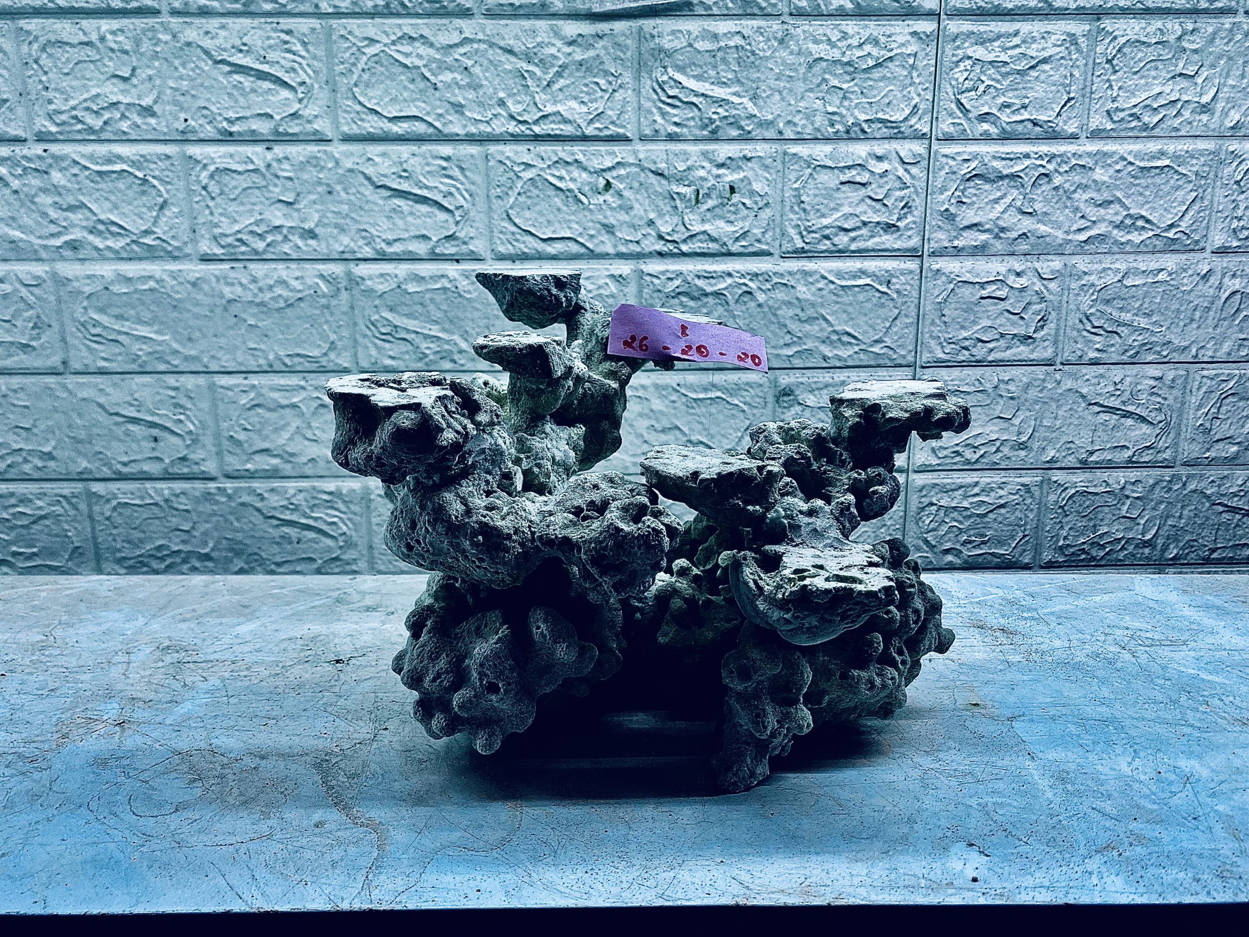 layout-ca-bien-royalaqua (643)