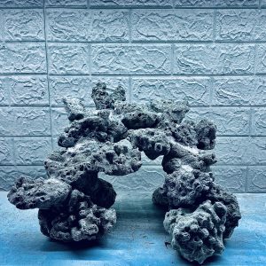 MÃ 421 – LAYOUT CÁ CẢNH BIỂN BỂ 40CM – CƯỜNG AQUARIUM