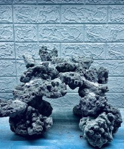 MÃ 421 – LAYOUT CÁ CẢNH BIỂN BỂ 40CM – CƯỜNG AQUARIUM