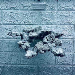 MÃ 423 – LAYOUT BAY CÁ CẢNH BIỂN BỂ 40CM – CƯỜNG AQUARIUM