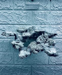 MÃ 423 – LAYOUT BAY CÁ CẢNH BIỂN BỂ 40CM – CƯỜNG AQUARIUM