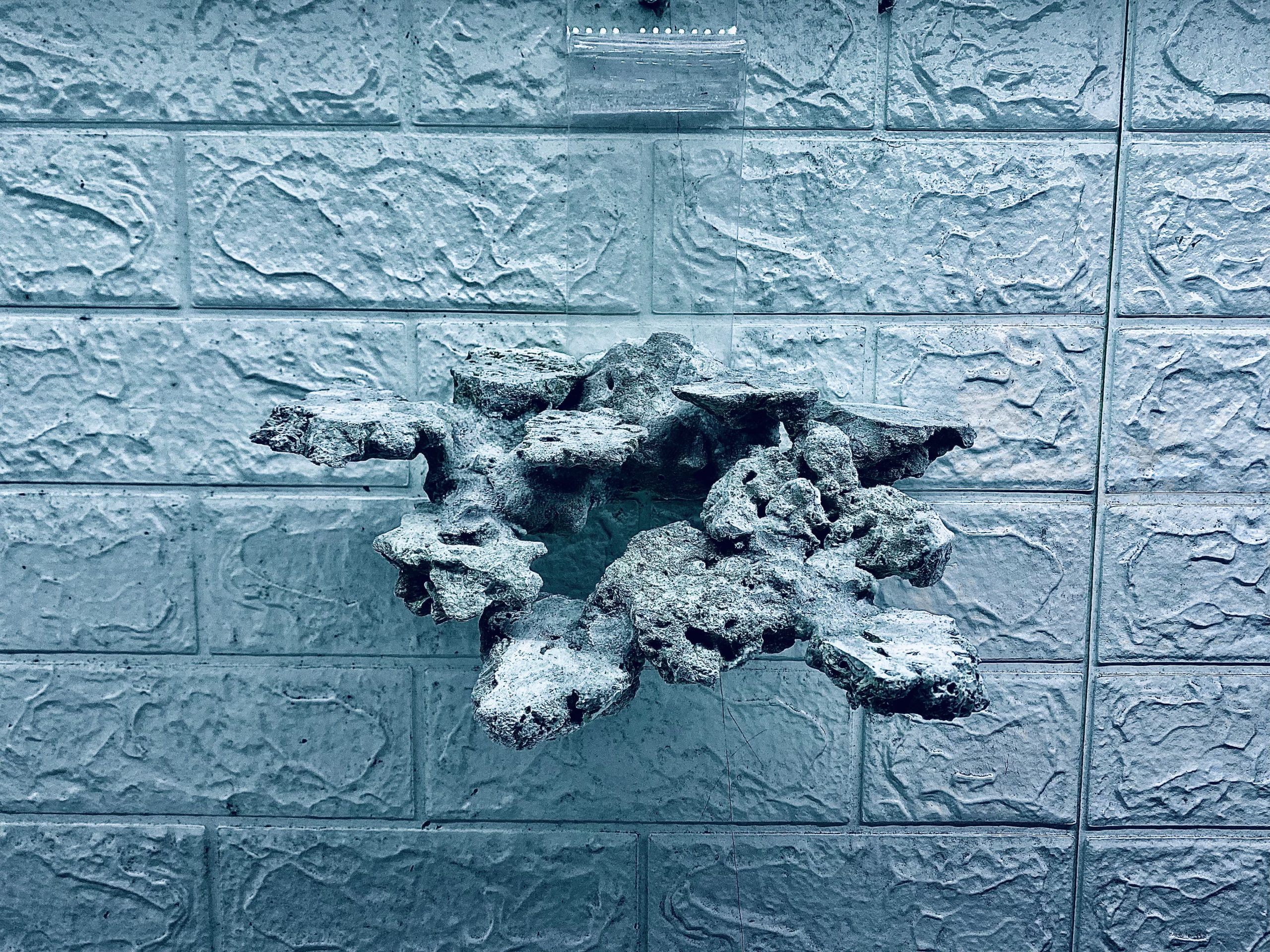 layout-ca-bien-royalaqua (651)