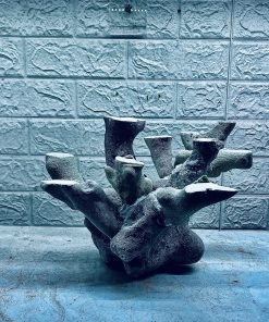 MÃ 424 – LAYOUT CÁ CẢNH BIỂN BỂ 40CM – CƯỜNG AQUARIUM