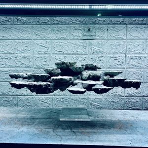 MÃ 425 – LAYOUT BAY CÁ CẢNH BIỂN BỂ 60CM – CƯỜNG AQUARIUM