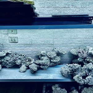 MÃ 426 – LAYOUT CÁ CẢNH BIỂN BỂ 120CM – CƯỜNG AQUARIUM