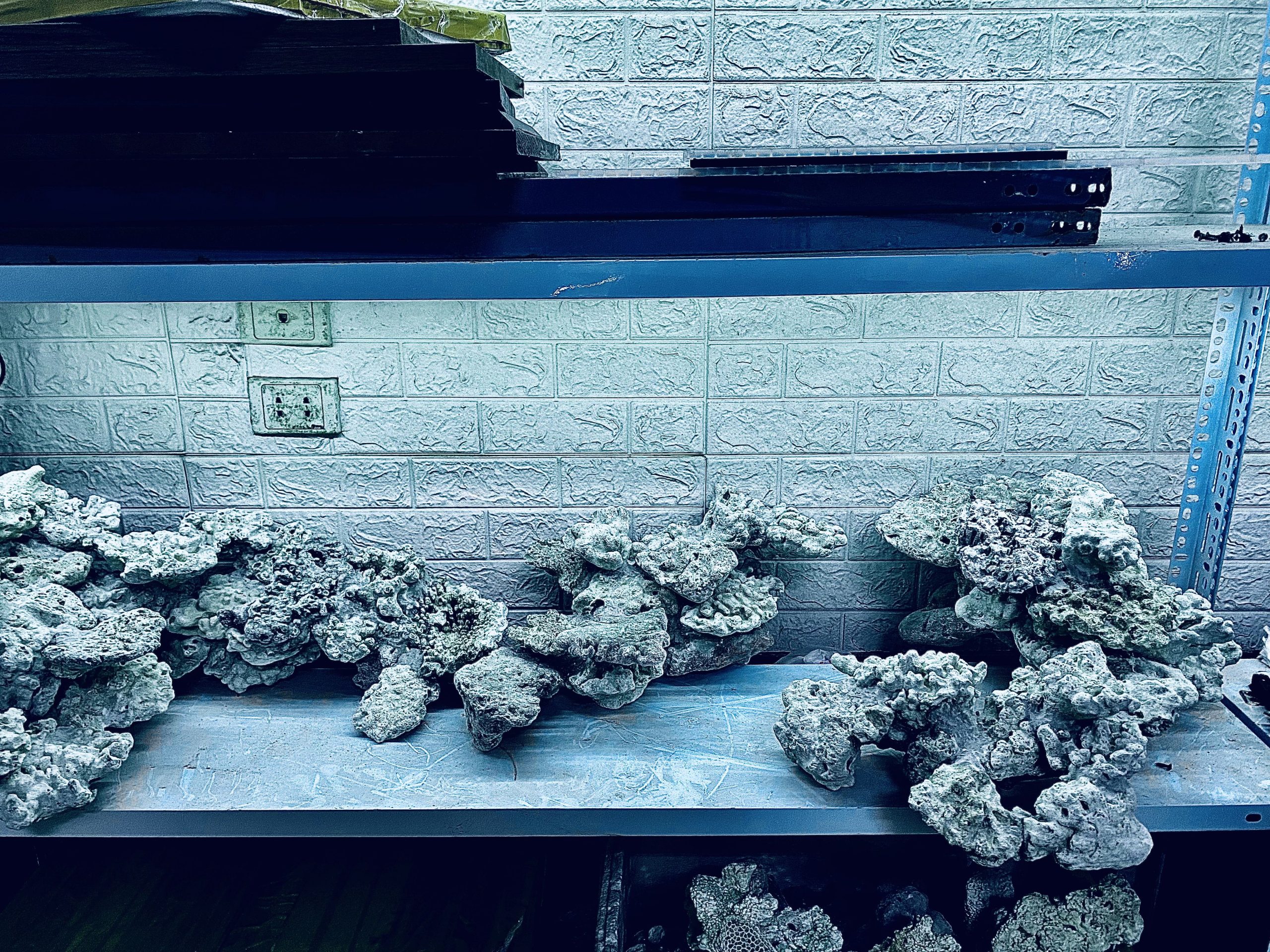 layout-ca-bien-royalaqua (663)