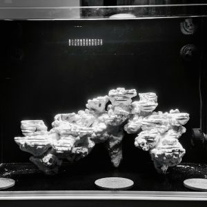 MÃ 439 - LAYOUT BAY CÁ CẢNH BIỂN BỂ 60CM - CƯỜNGAQUARIUM