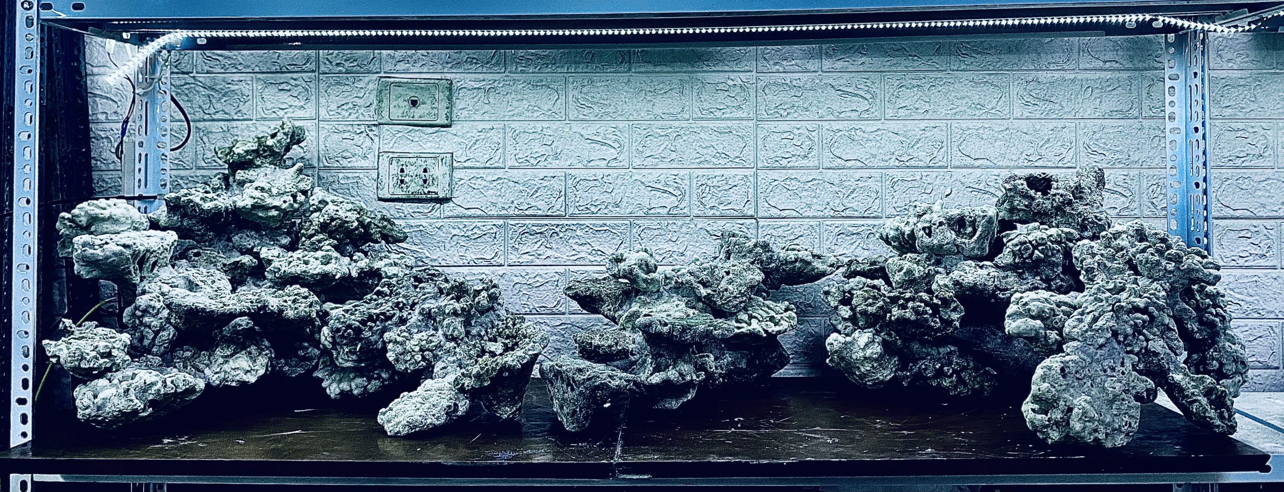 layout-ca-bien-royalaqua (698)