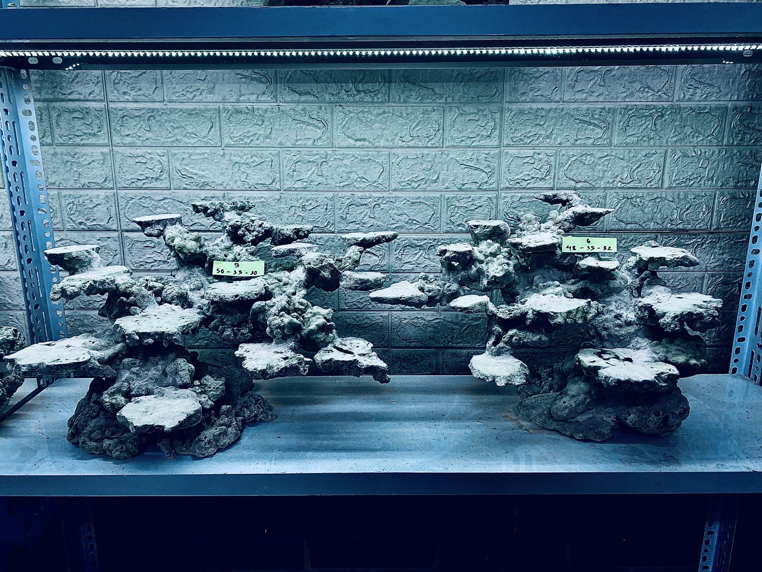 layout-ca-bien-royalaqua (70)