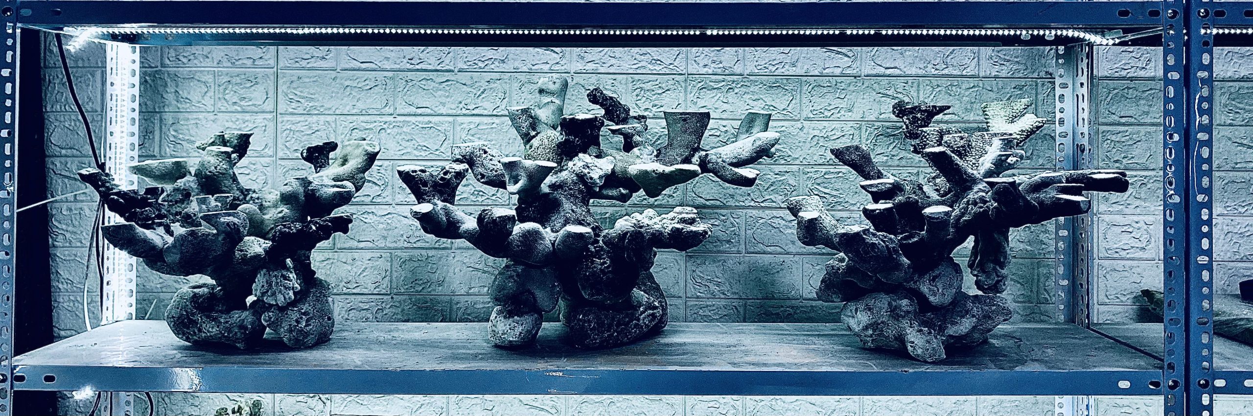 layout-ca-bien-royalaqua (703)