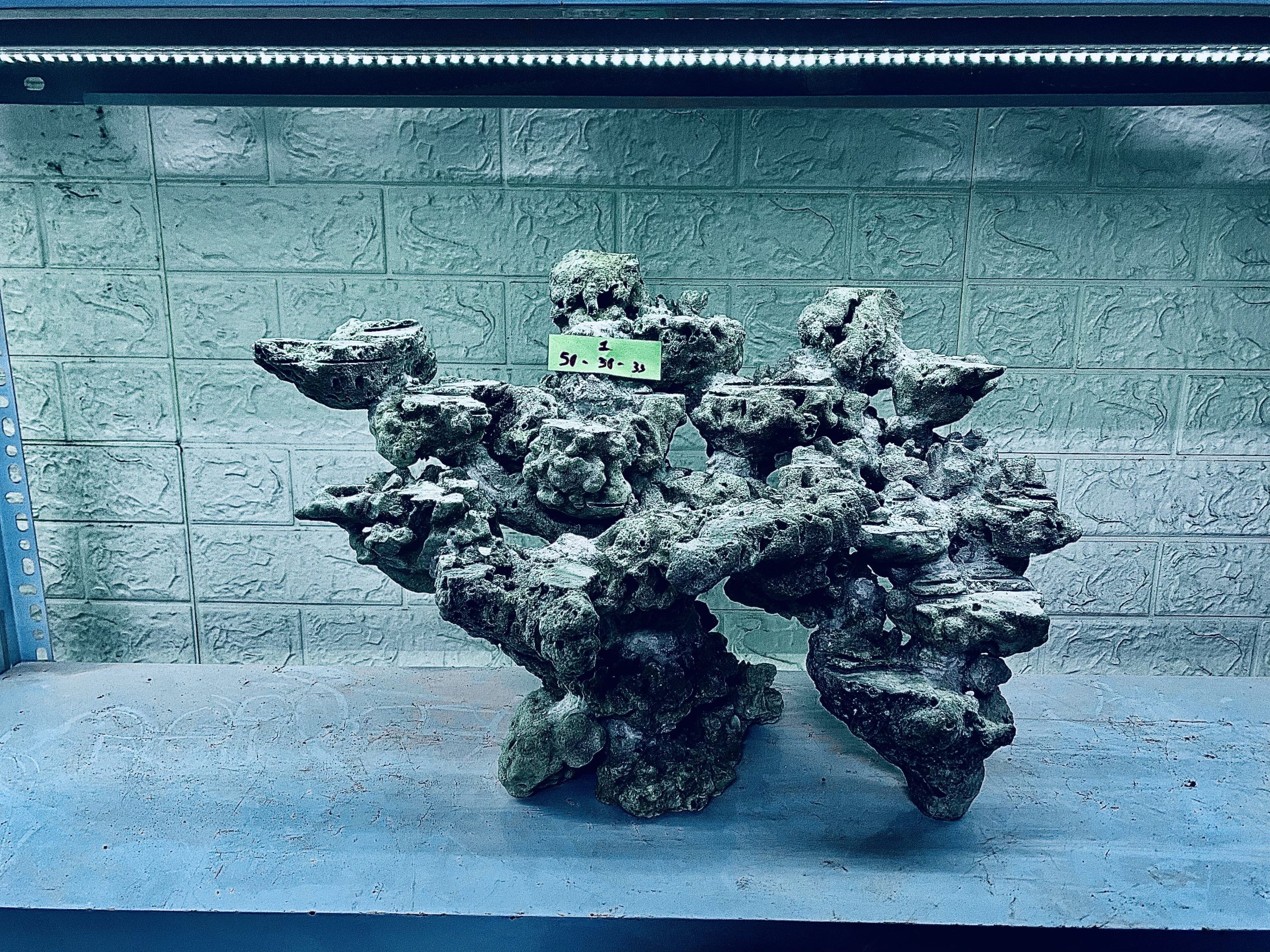 layout-ca-bien-royalaqua (71)